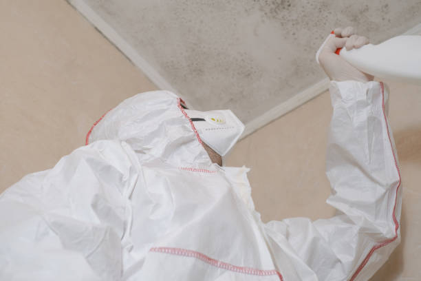 Mold Testing and Removal in Scenic, AZ
